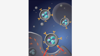 Illustration for article titled How These Microscopic Diamonds Are Going to Shape the Future